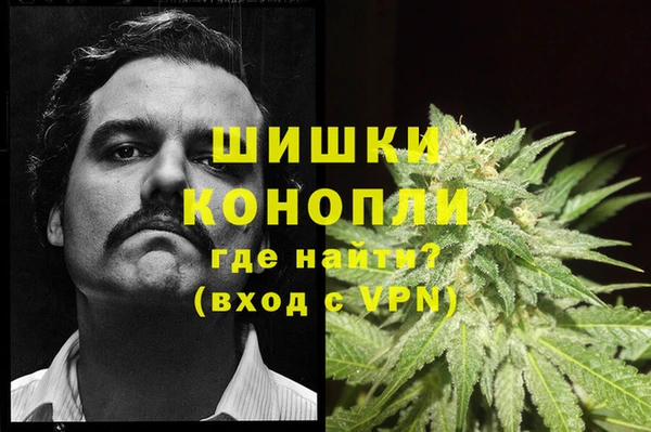спайс Баксан