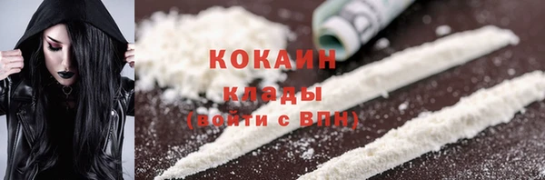 дживик Белокуриха