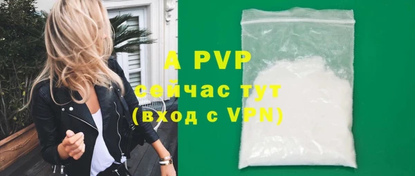 дживик Белокуриха