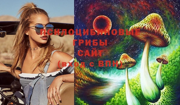 спайс Баксан