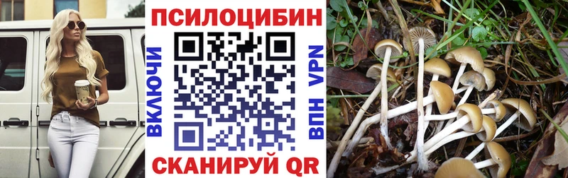 Галлюциногенные грибы Cubensis Бирск